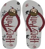 Harry Potter Slippers voor Kinderen Grijs