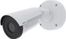 Axis Beveiligingscamera 02945-001