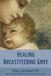 Healing Mother Food Books Series Healing Breastfeeding Grief