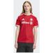 ADIDAS PERFORMANCE Tricot 'FC Bayern München 26/27' camel / rood / donkerrood / wit