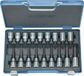 Gedore 6138510 Dopsleutel-bitinzetset 1/2 (12.5 mm) 18-delig