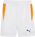 Puma Individual Training Korte Broek Wit XL