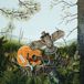 PIAS Nederland The Dandy Warhols - This Machine (CD)