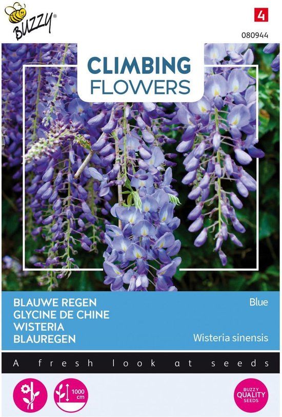 Buzzy Flowering Climbers Wisteria Bloemzaad - Blauw