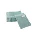 TOM TAILOR Washandschoen, set van 6, 16 x 21 cm, 100% katoen/badstof, met hanger en label met logo, Color Bath Towel turquoise (Fresh Sage)