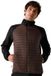 Regatta Clumber Hybrid Veste Marron L Homme