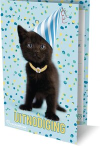 Uitnodiging kat rachael hale 14x9cm | 6 stuks