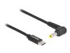 DeLOCK 87980 USB-C naar Samsung notebook laadkabel, 5.5 x 3.0 mm, 1.5 meter, Zwart