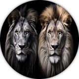 Merkloos / Sans marque Leeuwen Wandbord - Dieren Muurcirkel - Forex - 80x80 cm