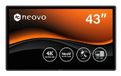AG Neovo QX4302 moniteur de vidéosurveillance 109,2 cm (43") 3840 x 2160 Pixels