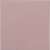 Thermal Grizzly Minus Pad 8 Thermisch pad 100 mm x 100 mm x 3 mm
