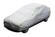 PETEX 44210303 Hagelgarage, afmetingen circa 571 x 203 x 119 cm, zilver, maat XXL