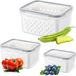 Ibenzoa® Set de boîtes de conservation efficaces avec paniers égouttoirs pour la conservation des fruits et légumes au réfrigérateur