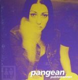 Music&Words Pangean - Pubterranean (CD)