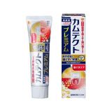 EARTH - Camtect Premium Gum Care Dentifrice 105g