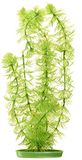 Marina Aquascaper, aquariumplant, waterplant, van kunststof, hoornwoord, 30 cm