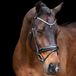 Imperial Riding Hoofdstellen Olympia Cob zwart/zilver