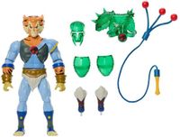 Mattel Masters of the Universe x ThunderCats Action Figure Tygra 14 cm