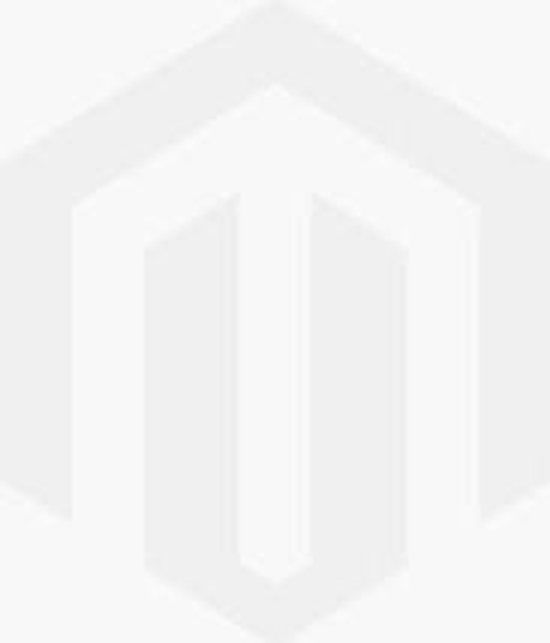 Geberit 300 Urinoir 32,5x30cm met achterinlaat met urinoirdeksel wit