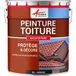 Arcane Industries Peinture Toiture Premium 10 L Gris Ardoise