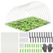 Dailygoods Tunnelbogen 106 Pièces Kit de plantes