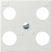 GIRA 025803 Centrale plaat, 4-voudig, Hirsch systeem 55, zuiver wit