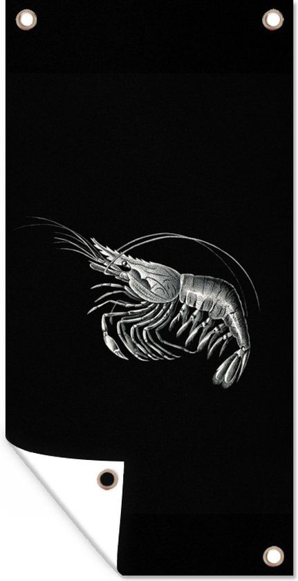 GreatGardenPosters Tuinposter - Schuttingdecoratie - Zwart-Wit - Dieren - Ernst Haeckel - Kunst - Vintage - 30x60 cm - Tuindoek