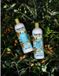 Inecto Naturals Argan Brilliant Shine Shampoo - 6 x 500ml - Voordeelverpakking
