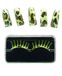 Ciao 79409. – Set wimpers en kunstnagels van Johanniskruid dieren, gesorteerd