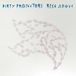 Rise Dirty Projectors - Rise Above (LP)