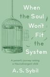 When Troubador Publishing When the Soul Won’t Fit the System
