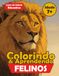 Colorindo & Aprendendo Felinos