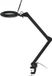 Goobay LED-loeplamp met klem, 10 W, zwart