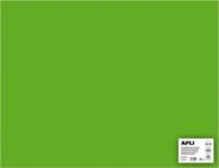 APLI Grasgroen Karton 50 x 65 cm 170 g/m² - 25 vel