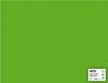 APLI Grasgroen Karton 50 x 65 cm 170 g/m² - 25 vel