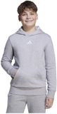 Adidas Essentials Hoodie Grijs 13-14 Years Jongens,Meisjes
