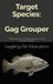 Target Species: Gag Grouper: Mastering the Art and Science of Gag Grouper Fishing