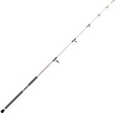 Expert Predator Skipjack Bodemvissen Hengel Zilver 2.40 m / 100-300 g