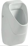 Geberit 300 Urinals Urinoir 34x34x57 cm Wit