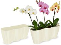 KADAX Bloempot voor binnen, orchideeën, bloemen, planten, vensterbank, orchideeënpot, kunststof plantenpot, moderne plantenbak, bloembak, bloempot (35 x 12 cm, crème)