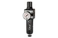 RIEGLER 100492-C 55 - S filterregelaar »multifix«