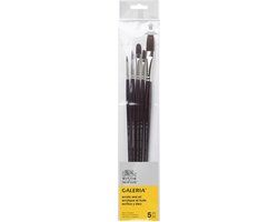 Winsor & Newton Galeria Acrylpenseel Set – 5 Penselen met Lange Steel voor Acrylschilderen ( Rond 2, Rond 6, Plat 4, Plat 14, Filbert 8 )