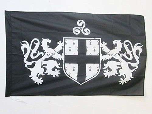 AZ FLAG Vlag wapen van Bretagne 90 x 60 cm – Bretonse vlag 60 x 90 cm schede voor vlaggenstang