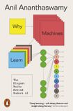 Why Penguin Why Machines Learn: The Elegant Maths Behind Modern AI Paperback