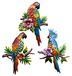 Solidchoice - Set van 3 Metalen Papegaai Wanddecoraties