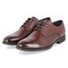 SALAMANDER Veterschoen 'AUU' cognac