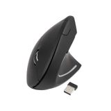 TooQ TQMWG-1104-B Souris optique RF sans fil 3200 DPI droitier noir