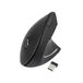 TooQ TQMWG-1104-B Souris optique RF sans fil 3200 DPI droitier noir