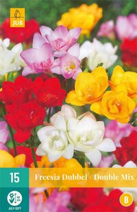 Freesia Enkel Mix 5/+ - 15st - Bloembollen - JUB Holland