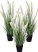 Mica Decorations Plante artificielle Herbe décorative - 3x pièces - dogtail - D30 x H53 cm - dans pot noir